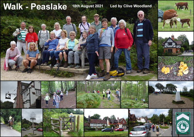 Walk - Peaslake & Pitch Hill - 18th August 2021